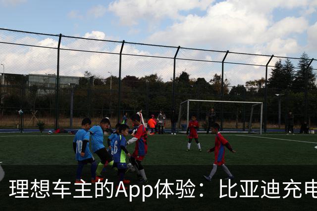 理想车主的App体验：比亚迪充电桩成长途出行的"可靠后盾